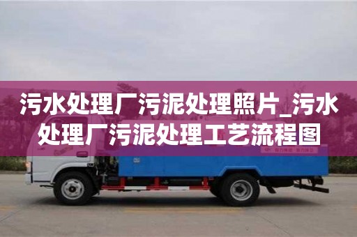北京污水处理厂污泥处理照片_污水处理厂污泥处理工艺流程图