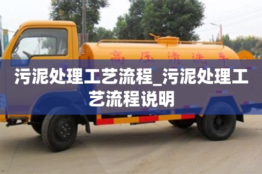 唐山污泥处理工艺流程_污泥处理工艺流程说明