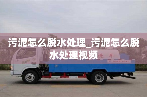 北京污泥怎么脱水处理_污泥怎么脱水处理视频