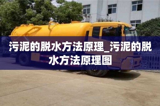 污泥的脱水方法原理_污泥的脱水方法原理图