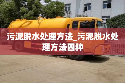污泥脱水处理方法_污泥脱水处理方法四种