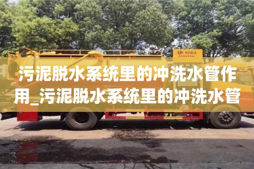 北京污泥脱水系统里的冲洗水管作用_污泥脱水系统里的冲洗水管作用不包括