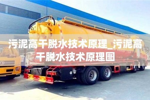 济南污泥高干脱水技术原理_污泥高干脱水技术原理图