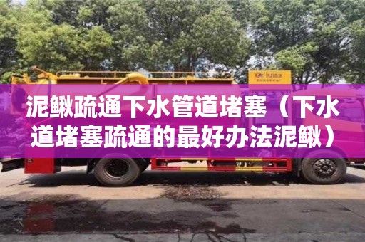 泥鳅疏通下水管道堵塞（下水道堵塞疏通的最好办法泥鳅）