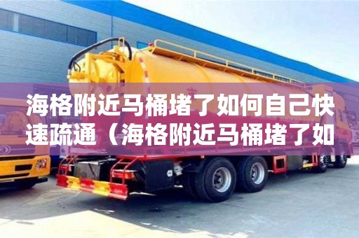 海格附近马桶堵了如何自己快速疏通（海格附近马桶堵了如何自己快速疏通下水）