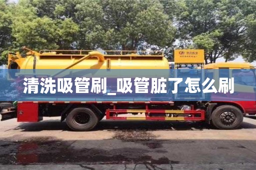 清洗吸管刷_吸管脏了怎么刷