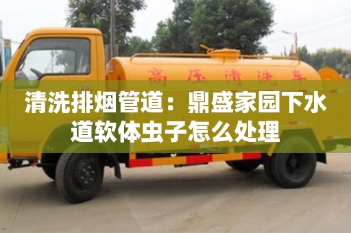 郑州清洗排烟管道：鼎盛家园下水道软体虫子怎么处理