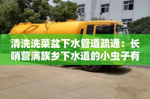 济南清洗洗菜盆下水管道疏通：长哨营满族乡下水道的小虫子有什么办法可以除掉