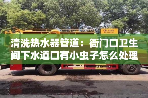 唐山清洗热水器管道：衙门口卫生间下水道口有小虫子怎么处理