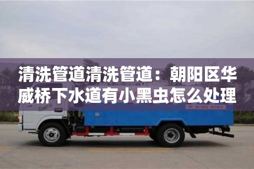 武汉清洗管道清洗管道：朝阳区华威桥下水道有小黑虫怎么处理