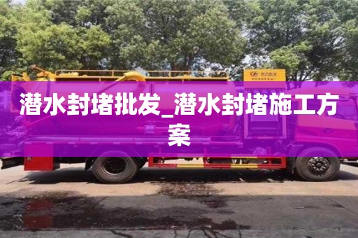 潜水封堵批发_潜水封堵施工方案