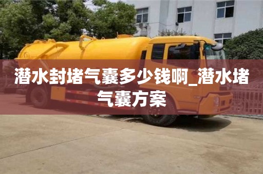 唐山潜水封堵气囊多少钱啊_潜水堵气囊方案