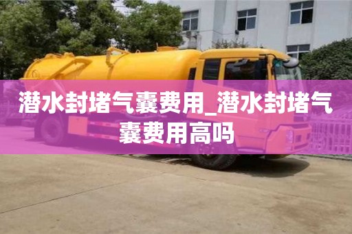 北京潜水封堵气囊费用_潜水封堵气囊费用高吗