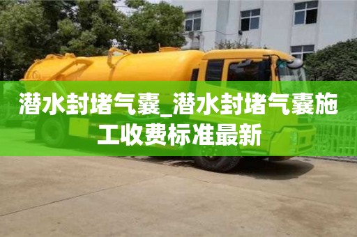 绍兴潜水封堵气囊_潜水封堵气囊施工收费标准最新