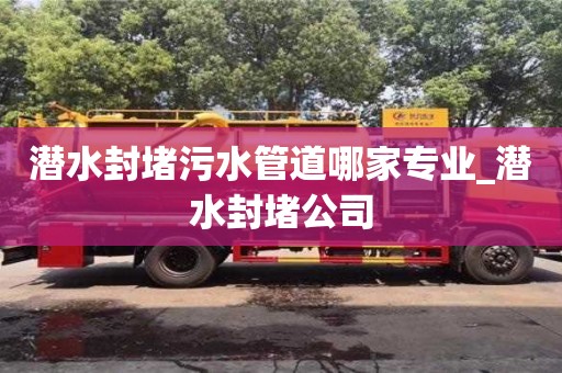 北京潜水封堵污水管道哪家专业_潜水封堵公司