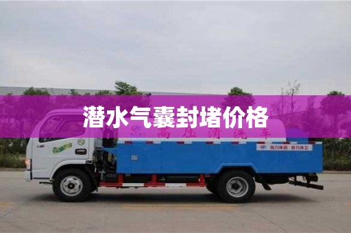 唐山潜水气囊封堵价格