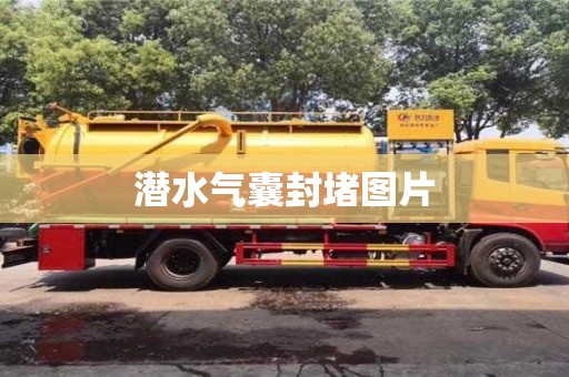 潜水气囊封堵图片