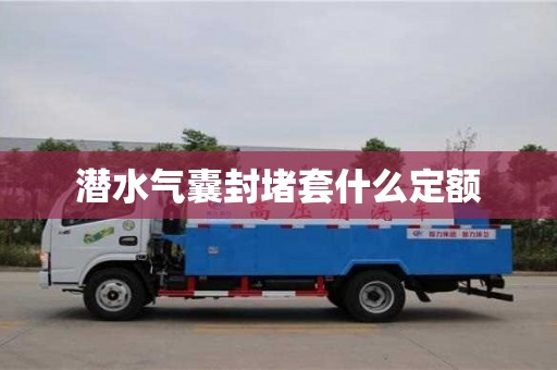 西安潜水气囊封堵套什么定额