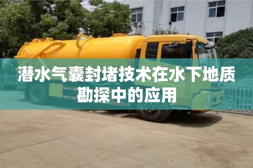合肥潜水气囊封堵技术在水下地质勘探中的应用
