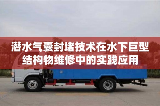北京潜水气囊封堵技术在水下巨型结构物维修中的实践应用