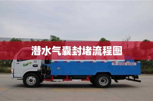 潜水气囊封堵流程图