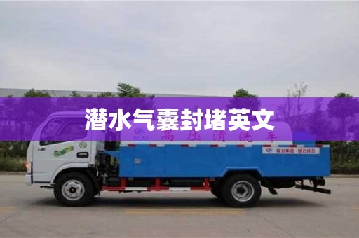 潜水气囊封堵英文