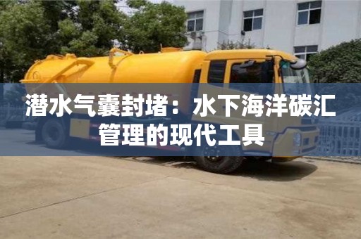 南京潜水气囊封堵：水下海洋碳汇管理的现代工具