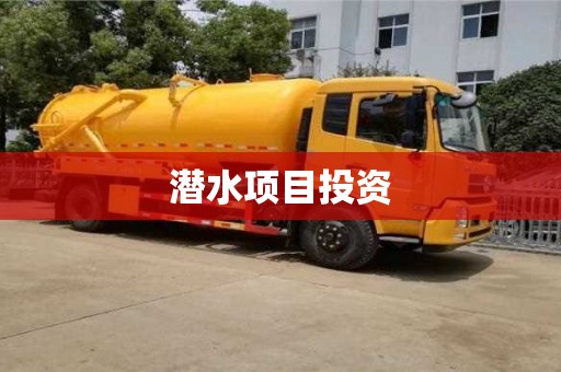 北京潜水项目投资