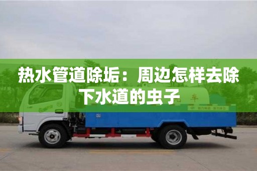 合肥热水管道除垢：周边怎样去除下水道的虫子