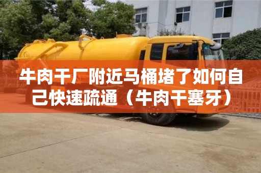牛肉干厂附近马桶堵了如何自己快速疏通（牛肉干塞牙）