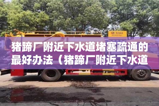 上海猪蹄厂附近下水道堵塞疏通的最好办法（猪蹄厂附近下水道堵塞疏通的最好办法有哪些）