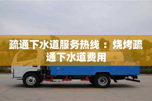 疏通下水道服务热线 ：烧烤疏通下水道费用