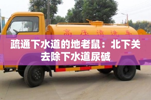 石家庄疏通下水道的地老鼠：北下关去除下水道尿碱