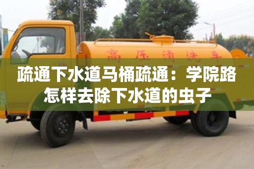 南京疏通下水道马桶疏通：学院路怎样去除下水道的虫子