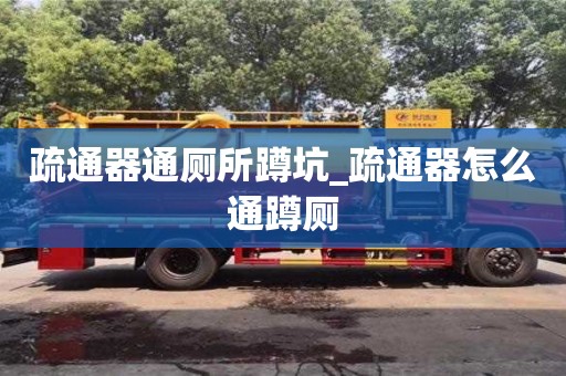 疏通器通厕所蹲坑_疏通器怎么通蹲厕