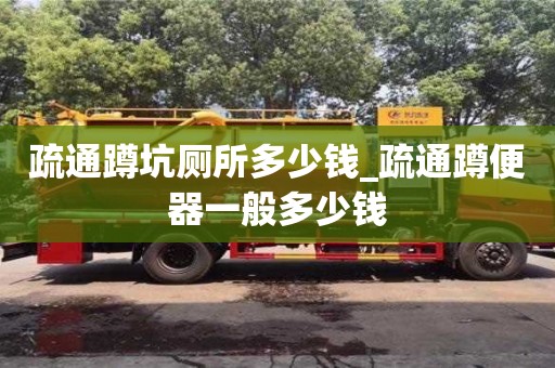 北京疏通蹲坑厕所多少钱_疏通蹲便器一般多少钱