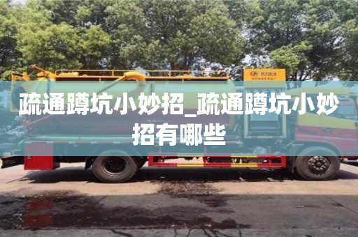 疏通蹲坑小妙招_疏通蹲坑小妙招有哪些