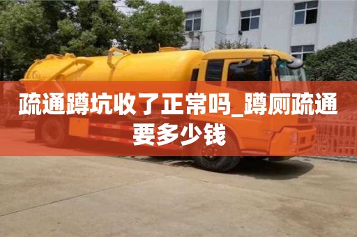 北京疏通蹲坑收了正常吗_蹲厕疏通要多少钱