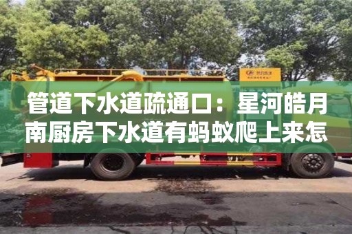 北京管道下水道疏通口：星河皓月南厨房下水道有蚂蚁爬上来怎么清除