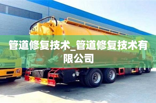 北京管道修复技术_管道修复技术有限公司