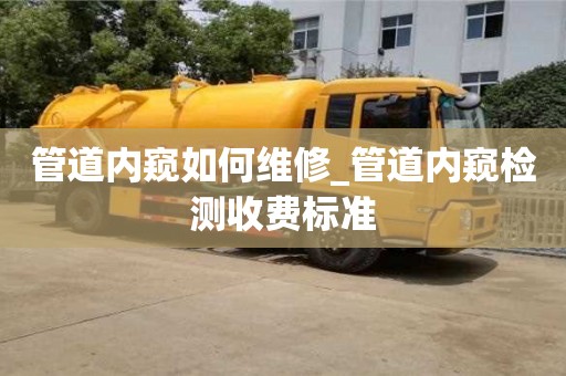 管道内窥如何维修_管道内窥检测收费标准