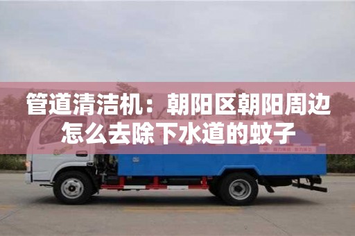 北京管道清洁机：朝阳区朝阳周边怎么去除下水道的蚊子