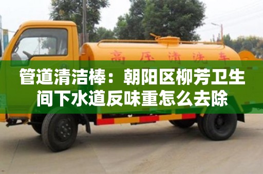 北京管道清洁棒：朝阳区柳芳卫生间下水道反味重怎么去除