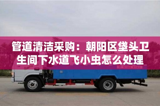 武汉管道清洁采购：朝阳区垡头卫生间下水道飞小虫怎么处理