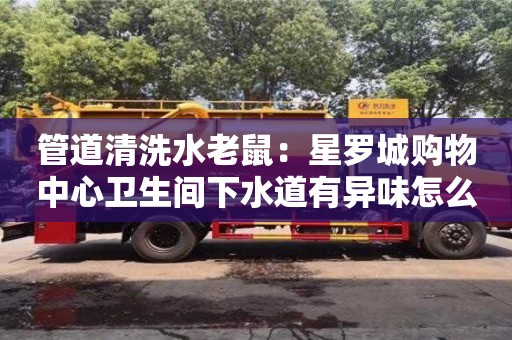 武汉管道清洗水老鼠：星罗城购物中心卫生间下水道有异味怎么清除