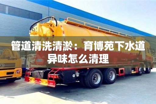 武汉管道清洗清淤：育博苑下水道异味怎么清理