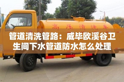 管道清洗管路：威毕欧溪谷卫生间下水管道防水怎么处理