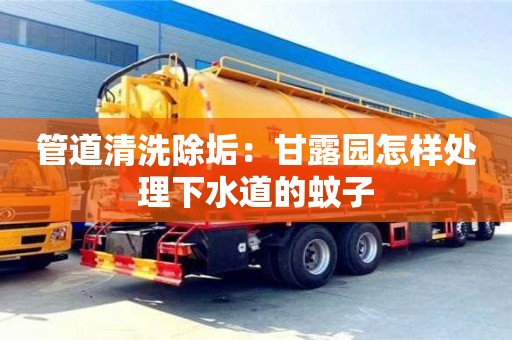 杭州管道清洗除垢：甘露园怎样处理下水道的蚊子