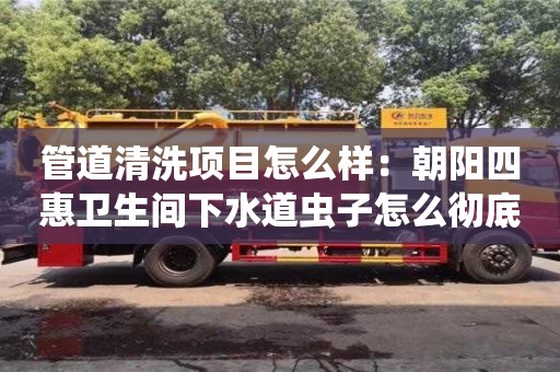 武汉管道清洗项目怎么样：朝阳四惠卫生间下水道虫子怎么彻底根除