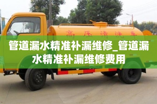济南管道漏水精准补漏维修_管道漏水精准补漏维修费用